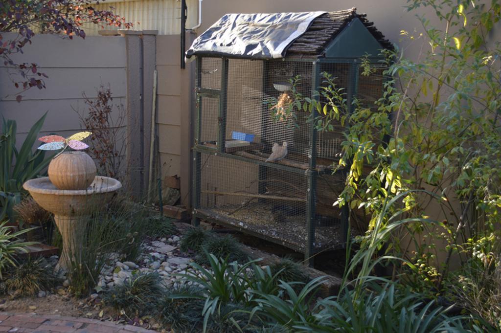 Two Bells Guest House Bloemfontein Extérieur photo